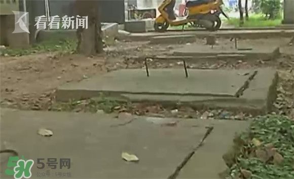 樹下燒螞蟻引爆化糞池 沼氣池化糞池為什么會爆炸 樹下燒螞蟻引爆化糞池 沼氣池化糞池為什么會爆炸