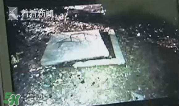 樹下燒螞蟻引爆化糞池 沼氣池化糞池為什么會爆炸 樹下燒螞蟻引爆化糞池 沼氣池化糞池為什么會爆炸