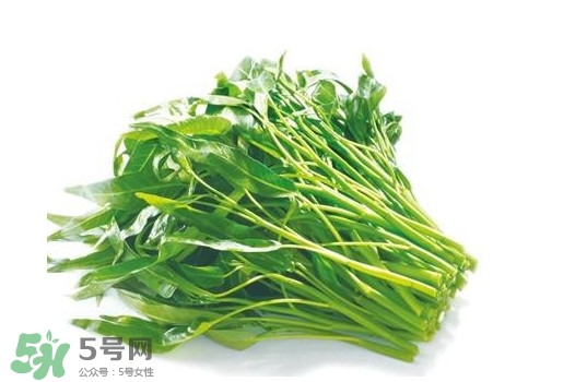 空心菜能和雞蛋一起吃嗎？雞蛋可以和空心菜一起吃嗎