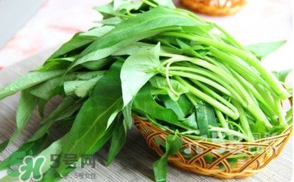 空心菜有毒嗎？空心菜需要焯水嗎？