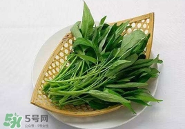 空心菜能和雞蛋一起吃嗎？雞蛋可以和空心菜一起吃嗎