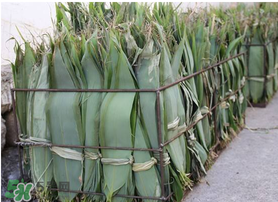 新鮮粽葉怎么處理？新鮮粽子葉怎樣處理？