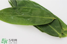 新鮮粽葉怎么處理？新鮮粽子葉怎樣處理？