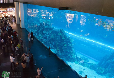 2017迪拜購物攻略 迪拜阿聯(lián)酋買什么便宜？