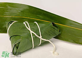 新鮮粽葉怎么處理？新鮮粽子葉怎樣處理？