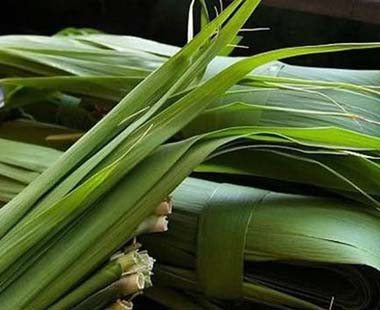 新鮮粽葉怎么處理？新鮮粽子葉怎樣處理？