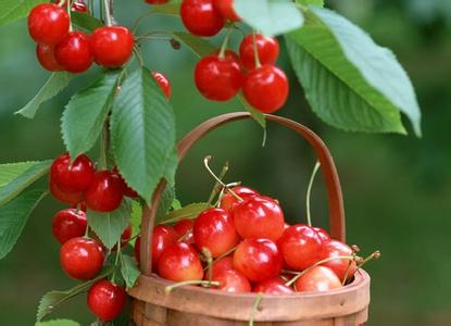 櫻桃不能和什么一起吃？吃櫻桃有5大好處