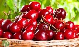 櫻桃汁怎么洗掉？衣服上的櫻桃汁怎么洗？