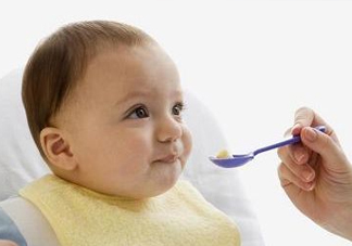 寶寶幾個月可以吃肉松？寶寶多大可以吃肉松