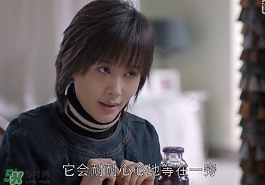 蒼蠅粉是什么意思？蒼蠅粉是什么東西？