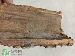 安哥拉樹皮的功效 安哥拉樹皮怎么用？