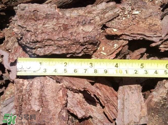 安哥拉樹(shù)皮多少錢(qián)一斤？安哥拉樹(shù)皮價(jià)格