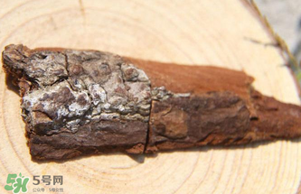 安哥拉樹皮有依賴性嗎？安哥拉樹皮有沒有依賴性？