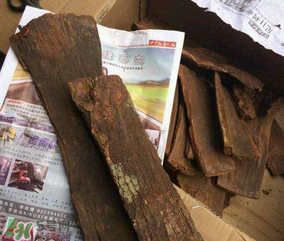 安哥拉樹皮能天天吃嗎？安哥拉樹皮天天吃可以嗎？