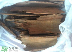 安哥拉樹皮能天天吃嗎？安哥拉樹皮天天吃可以嗎？