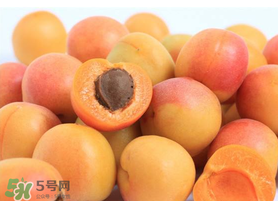 杏子一天吃幾個？杏子一次可以吃多少？