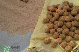 松花蛋是怎么做出來(lái)的？松花蛋的家庭腌制方法