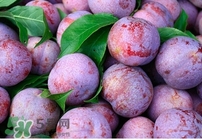 吃雙華李上火嗎？雙華李的功效與作用