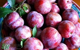 雙華李怎么吃不酸？雙華李不能和什么一起吃？