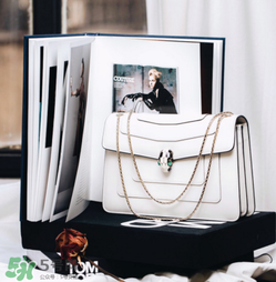 寶格麗蛇頭包有哪幾種尺寸？寶格麗蛇頭包尺寸介紹