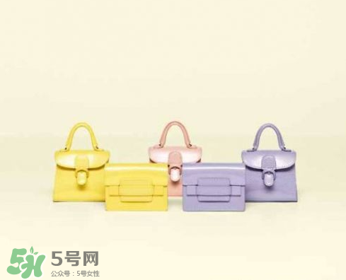 delvaux2017春夏系列包包款式有哪些_好看嗎？
