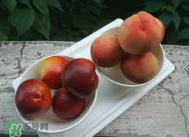 毛桃怎么保存？毛桃可以放冰箱？