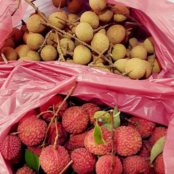 荔枝和龍眼哪個更上火？荔枝和龍眼味道差不多