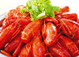 清蒸龍蝦需要多長時間？清蒸龍蝦要蒸多久？