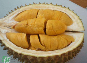 貓山王榴蓮怎樣才熟？貓山王榴蓮怎么催熟？