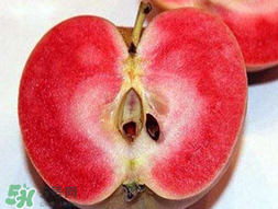 杏和蘋(píng)果可以一起吃嗎？杏子和蘋(píng)果可以一起吃嗎？