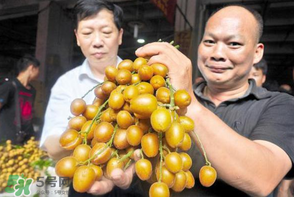 黃皮好吃嗎？黃皮是什么味道？