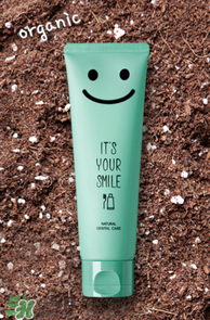 BEBE GANIC兒童孕婦牙膏怎么樣_好用嗎？