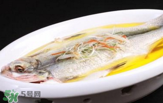 孕婦可以吃白條魚嗎？白條魚孕婦能吃嗎？