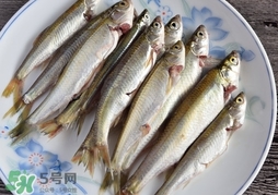 孕婦可以吃白條魚嗎？白條魚孕婦能吃嗎？