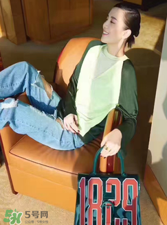 delvaux1829包多少錢？delvaux1829透明手袋專柜價(jià)格