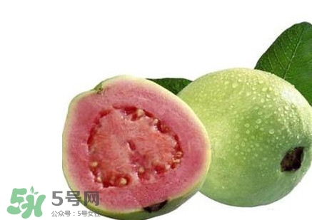番石榴中間的籽能吃嗎？番石榴里面的籽能吃嗎