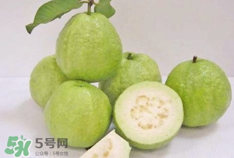 番石榴什么時候成熟？番石榴什么時候上市