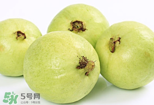 番石榴什么時候成熟？番石榴什么時候上市