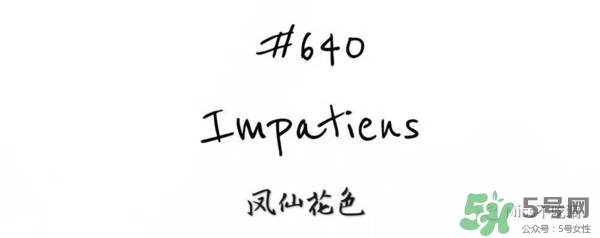 gucci唇膏試色 gucci唇膏色號 gucci唇膏試色 gucci唇膏色號