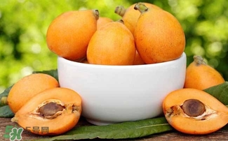 枇杷花怎么煲湯？枇杷花煲湯搭配什么最佳？