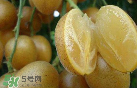 黃皮果多少錢一斤2017？黃皮果價(jià)格