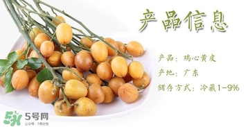 黃皮果什么時候成熟？黃皮果什么時候上市