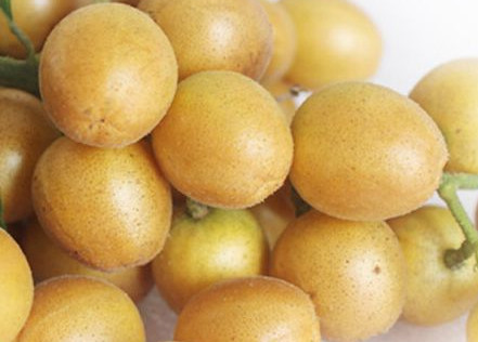 黃皮果有多少種顏色？黃皮果核有什么用處嗎