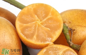 黃皮果怎么保存？黃皮果如何保存