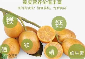 如何種植黃皮果？黃皮果怎么種植？