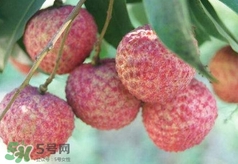 荔枝吃多了會(huì)怎么樣？荔枝上火怎么辦？