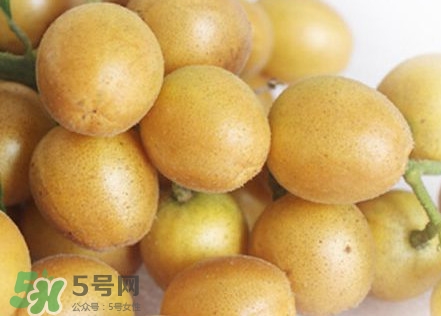 雞心黃皮幾年才掛果？雞心黃皮如何種植管理