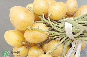 黃皮果多少錢一斤2017？黃皮果價(jià)格