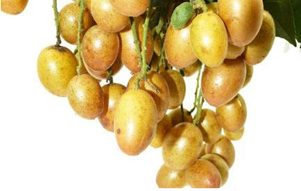 黃皮果有多少種顏色？黃皮果核有什么用處嗎