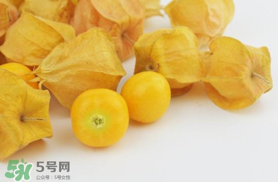 姑娘果是寒性嗎？姑娘果是涼性還是熱性？